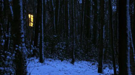 Der Junggesellinnenabschied endet blutig. Um sich daran zu erinnern, was geschah, muss Roman-Protagonistin Nora zurück in das Haus im dunklen Wald, in dem alles begann.