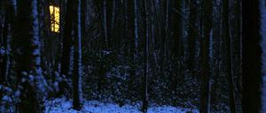 Der Junggesellinnenabschied endet blutig. Um sich daran zu erinnern, was geschah, muss Roman-Protagonistin Nora zurück in das Haus im dunklen Wald, in dem alles begann.