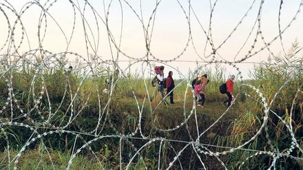 Grenzzaun zwischen Ungarn und Serbien