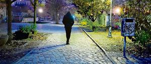 Der Görlitzer Park in Kreuzberg: Spaziergänger fühlen sich hier vor allem abends unsicher.