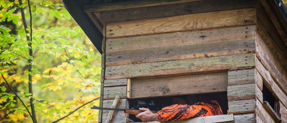Wirken wie kaltblütige Killer, haben in den Berliner Wäldern aber eine unverzichtbare Aufgabe: Jäger in orangenen Jacken.