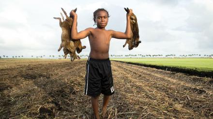 Hasenjagd in Florida. Szene aus dem Short "The Rabbit Hunt".