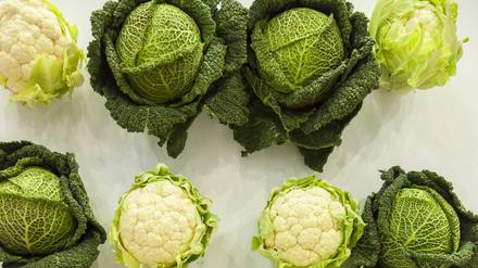 Gesund: Wirsing und Blumenkohl enthalten viele Vitamine und Ballaststoffe. 