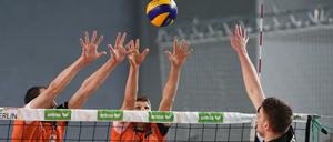 Hände hoch: Die BR Volleys hatten nur zu Beginn ihre Probleme mit dem VCO Berlin.