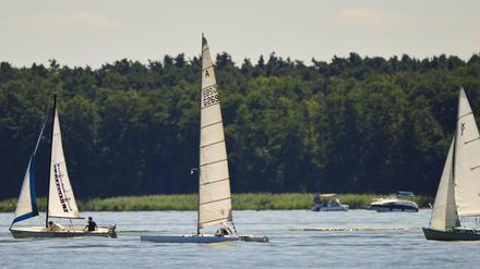 Fürchten um ihre Freiheit. Segler am Müggelsee