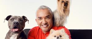 Hundeflüsterer. Cesar Millan mit einer kleinen Auswahl seiner 20 Hunde.
