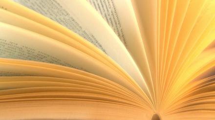 Die Welt zwischen den Seiten: Wie stark sich Lesende in einen Text vertiefen, wollen die Forscher mithilfe eines Eyetrackers herausfinden, der Augenbewegungen misst.