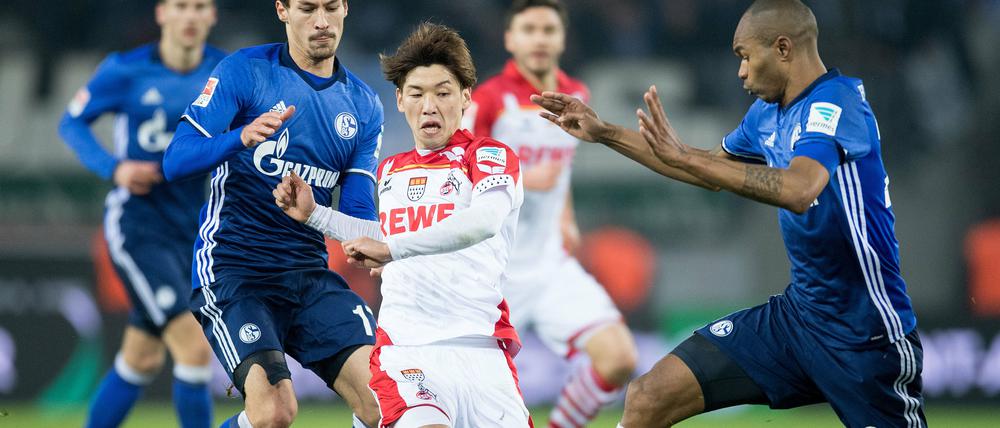 Unentschieden? Kölns Yuya Osako (M) und Schalkes Benjamin Stambouli (l) und Naldo kämpfen um den Ball.