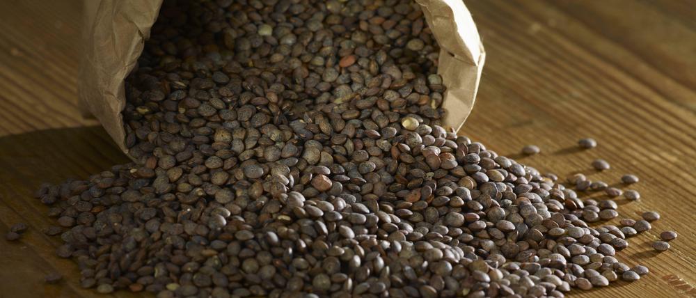 Puy Linsen kommen aus der französischen Auvergne. Die edle Sorte eignet sich hervorragend für Salate.