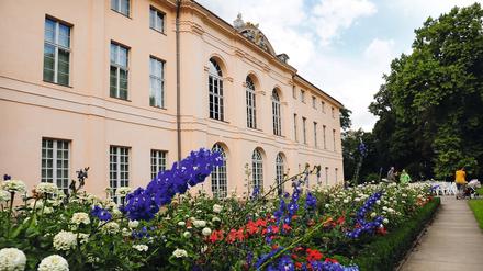 Das Schloss Schönhausen.