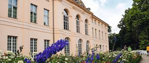 Das Schloss Schönhausen.
