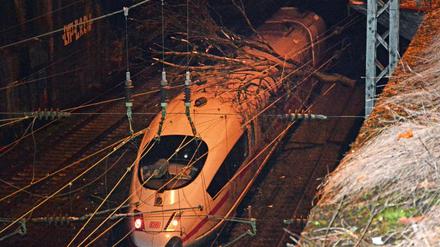 Ein Baum liegt am 23.02.2017 auf einen einfahrenden ICE vor dem Bahnhof Steinbeck in Wuppertal. 