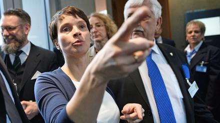 Die AfD-Bundesvorsitzende Frauke Petry (Archivbild). 