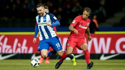 Ibisevic erzielte das 1:0 gegen Eintracht Frankfurt. 