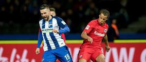 Ibisevic erzielte das 1:0 gegen Eintracht Frankfurt. 