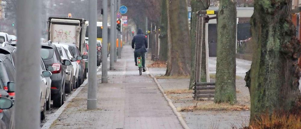 Auch der Radweg in der Nonnendammallee bedarf der Erneuerung.