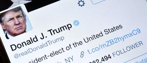 Twitter-König ist ohne Zweifel Donald Trump - und der einflussreichste Botschafter des Mediums.