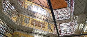 In der Justizvollzugsanstalt Tegel soll künftig ein Therapiehund mit den Insassen arbeiten. 