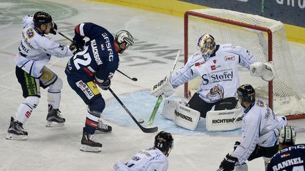 Die Straubing Tigers verloren nur das erste von vier Hauptrundenspielen gegen die Eisbären.