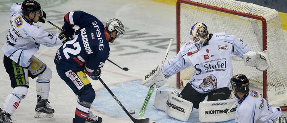 Die Straubing Tigers verloren nur das erste von vier Hauptrundenspielen gegen die Eisbären.
