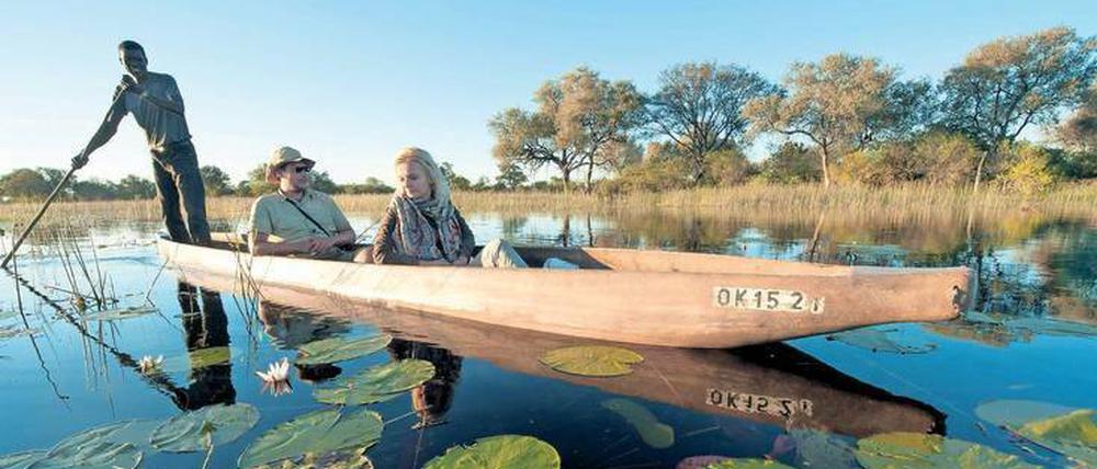 Papyrus und Seerosen. Bei einer Mokoro-Tour im Okavangodelta wird man mitten durchs Feuchtgebiet gestakt. Der Okavango Kopano Mokoro Community Trust bietet Ausflüge an. 