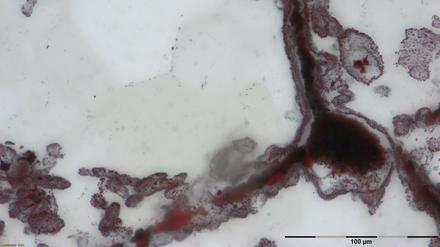 Die blumenförmigen Quartzstrukturen aus dem Nuvvuagittuq-Grünsteingürtel in der kanadischen Provinz Québec.