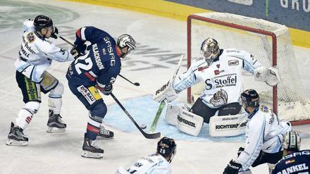 Kein Lieblingsgegner. Am ersten Spieltag siegten die Eisbären 5:2 gegen die Tigers, danach gab es drei Niederlagen. 