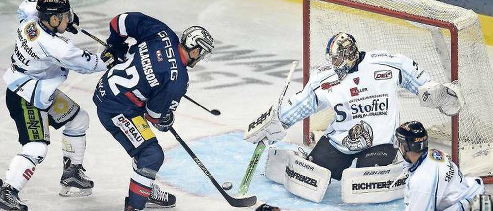 Kein Lieblingsgegner. Am ersten Spieltag siegten die Eisbären 5:2 gegen die Tigers, danach gab es drei Niederlagen.
