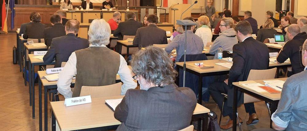 Die AfD hat in der BVV die Plätze der Piraten übernommen.