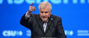 Da geht's lang. Bayerns Ministerpräsident Horst Seehofer macht eine typische Handbewegung.