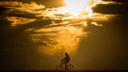 Die beste Quelle. Eigentlich ist reichlich Sonne das beste Mittel gegen Vitamin-D-Mangel. Aber im Winter macht sie sich rar.