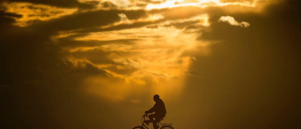Die beste Quelle. Eigentlich ist reichlich Sonne das beste Mittel gegen Vitamin-D-Mangel. Aber im Winter macht sie sich rar.