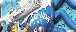 Bitte mal checken. Stimmt es wirklich, dass der künftige Bundespräsident Frank-Walter Steinmeier in einem Schloss mit tausend Zimmern wohnen wird? Über diese und andere Fake News regen sich die Menschen auf, nicht nur beim Karnevalsumzug.