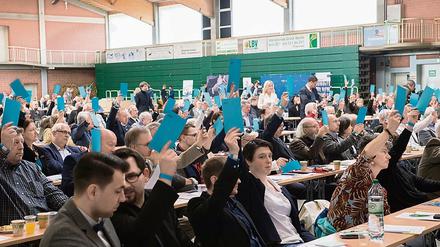 Auf dem Treffen der AfD in Brandenburg wählten die Delegierten die Kandidaten für die Landesliste der Bundestagswahl.