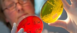 Saubere Forschung. Die Ergebnisse werden jedoch viel zu selten ernst genommen.