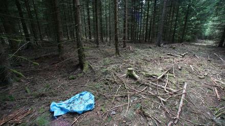 Der Wald, in dem Peggys Leiche gefunden worden war 