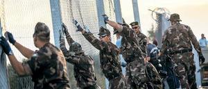 Absperrung: Ungarische Soldaten errichten in Röszke an der Grenze zu Serbien einen Zaun, um Flüchtlinge abzuhalten.