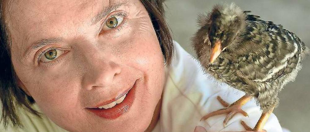 Ziemlich verrückte Hühner: Die Züchterin mit ihrem Küken.