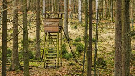Schon zum achten Mal wurde dieses Jahr ein Hochsitz in Berlin mutwillig zerstört.