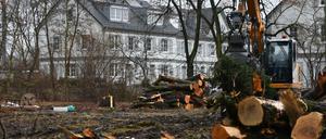 Gefällte Bäume im Park hinter dem Vivantes-Wohnheim an der Leonorenstraße in Lankwitz. Anwohner protestieren gegen das geplante Flüchtlingsheim. 