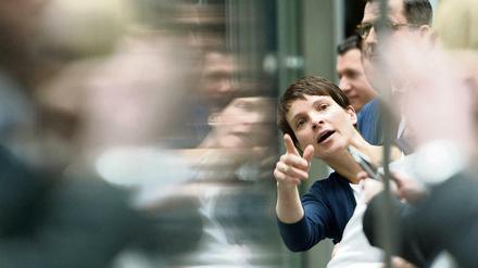 Frauke Petry will unbedingt Fraktionschefin werden.