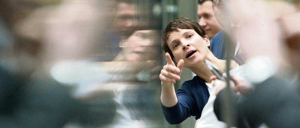 Frauke Petry will unbedingt Fraktionschefin werden.