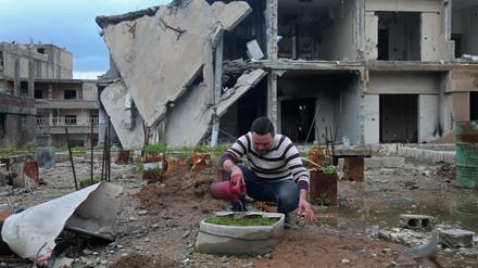 Lebensmittel sind rar und oft unerschwinglich teuer in der Region Ghouta. Die Menschen versuchen deshalb, selbst Gemüse anzubauen.