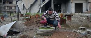 Lebensmittel sind rar und oft unerschwinglich teuer in der Region Ghouta. Die Menschen versuchen deshalb, selbst Gemüse anzubauen.