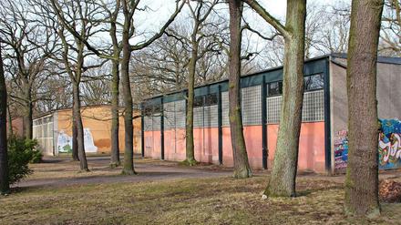 Die beiden maroden Sporthallen werden abgerissen und durch einen Neubau ersetzt.