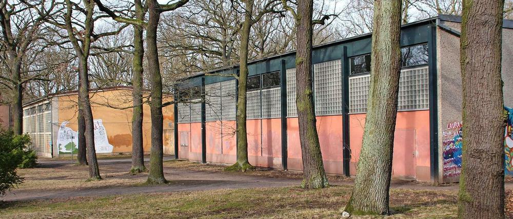 Die beiden maroden Sporthallen werden abgerissen und durch einen Neubau ersetzt.