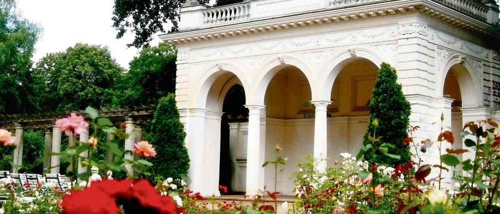 Der Rosengarten im Bürgerpark soll erneuert werden.