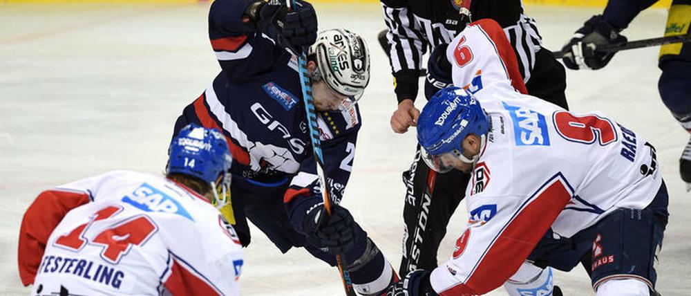 Die Eisbären haben sich in die Serie mit den Adlern hineingebissen.