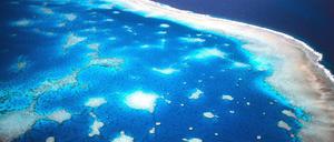 Wenn das Wasser zu warm wird, verlieren die Korallen ihre Farbe - wie hier am Great Barrier Reef in Australien.