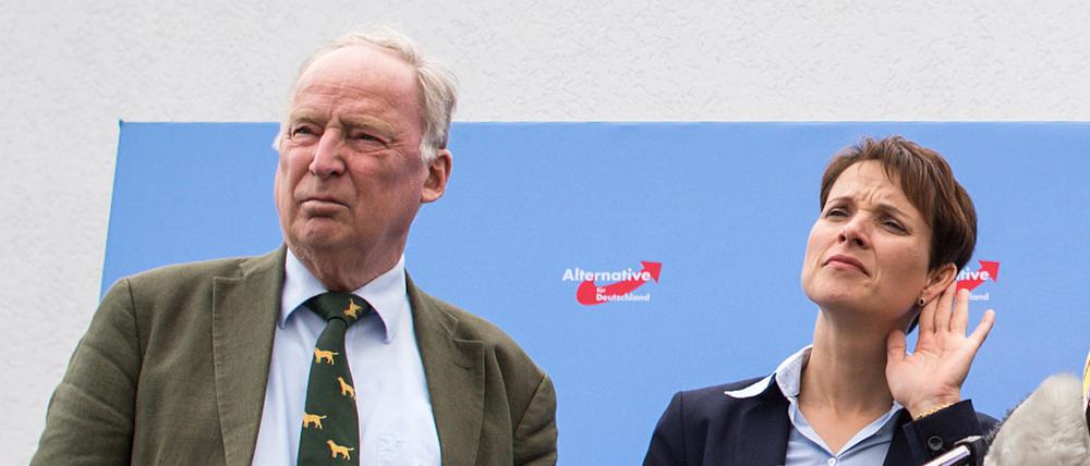 Frauke Petry (r.) und Alexander Gauland (l) werden kein Spitzenteam für die Bundestagswahl bilden. 